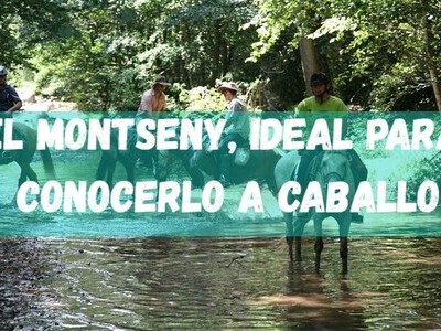 El Parque Natural del Montseny, ideal para conocerlo a caballo